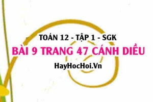 Bài 9 trang 47 Toán 12 tập 1 Cánh Diều